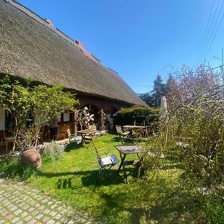 Fischerhaus Galenbeck Bed and Breakfast Eksteriør billede
